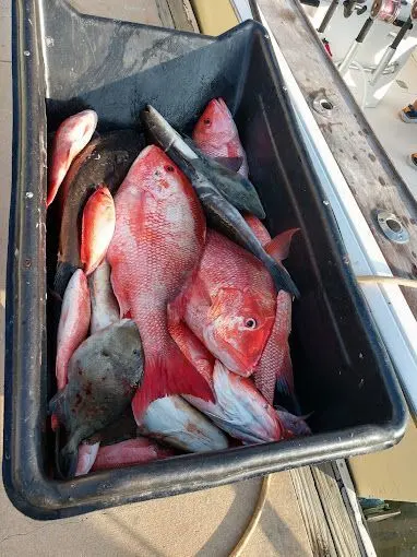 Anglers on a sport fishing charter in St. Augustine, FL