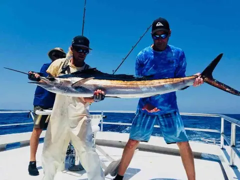 Endless Summer Charters gallery photo 21