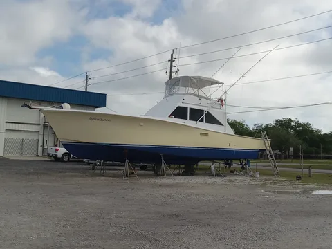 Endless Summer Charters gallery photo 34