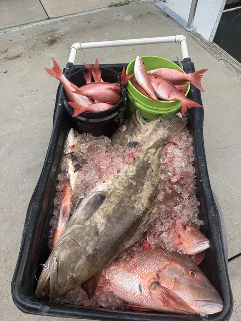 Fishing charter in St. Augustine, FL
