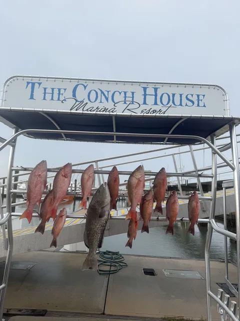 Group enjoying a charter trip in St. Augustine