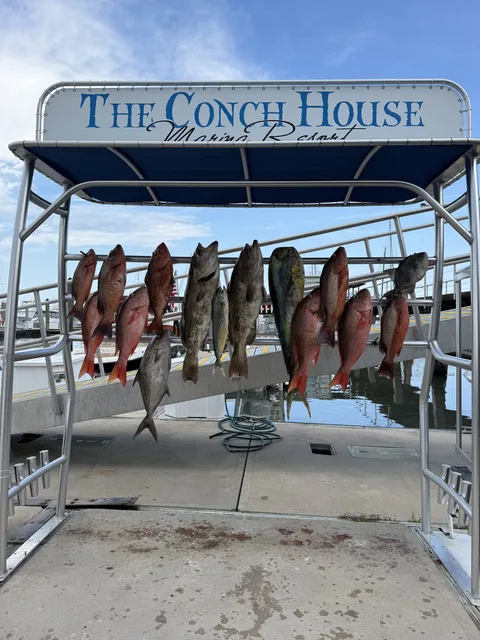Endless Summer Charters gallery photo 44