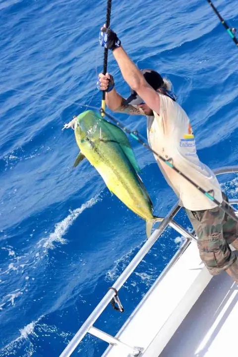 Endless Summer Charters gallery photo 5